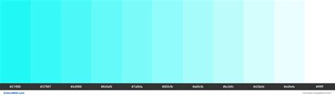 Neon Aqua Colors Palette 21f8f6 37f9f7 4df9f8 Colorswall