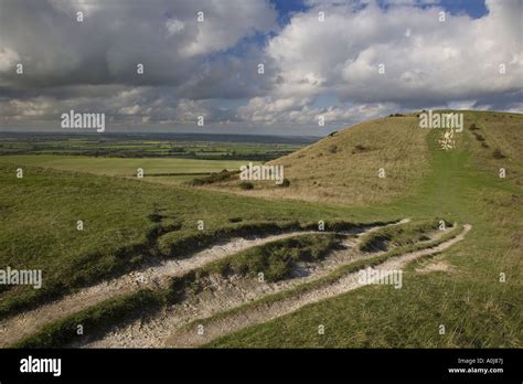 The Ridgeway Long Distance Path At Ivinghoe Beacon In The Chiltern
