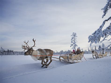 Wintersport Levi Lapland Finland Immelmökit Chalets En Vakantiewoningen
