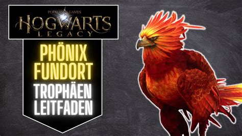 Hogwarts Legacy Auferstanden Aus Der Asche Troph En Leitfaden