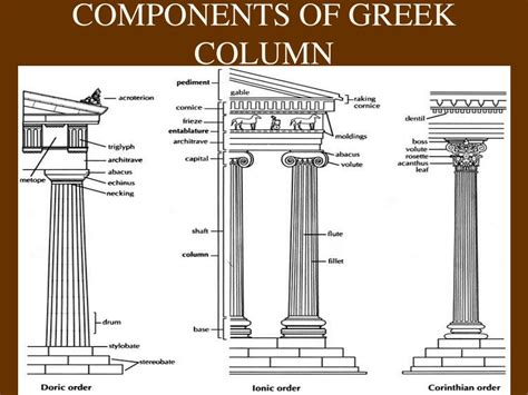 Ppt Greek Architecture Orders And Columns Powerpoint Presentation Free