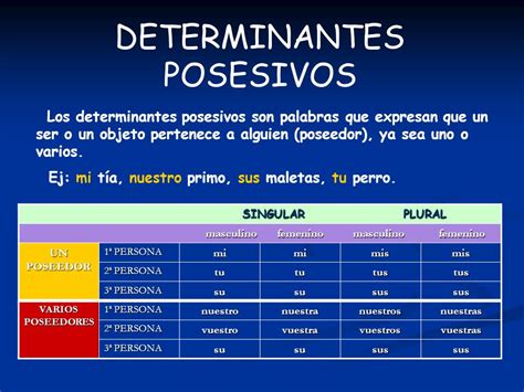 Determinantes Demostrativos Y Posesivos My English And Science