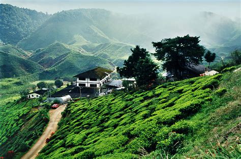 How to call malaysia from the usa/canada: Traveler Guide: Cameron Highlands