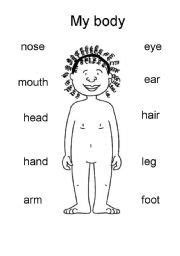Students are introduced to the systems of the human body and the functions of major organs. parts of body worksheet for grade 1 - Pesquisa Google ...