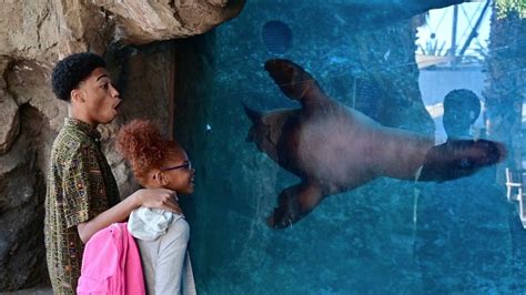 What To See And Do At The La Zoo—an Insiders Guide To The 133 Acre Park