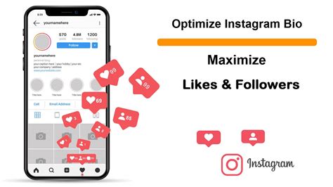Optimize Instagram Description Maximize Likes And Followers