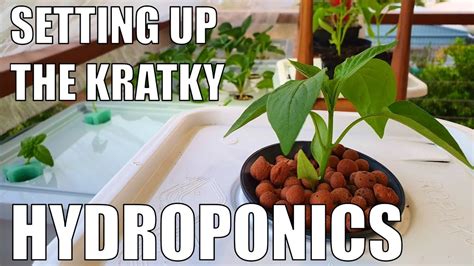 Growing With Kratky Hydroponics Youtube