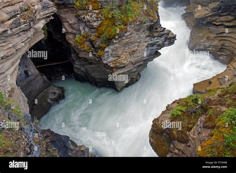 Athabasca Falls Of The Athabasca River In The Jasper National Park