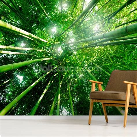 Bamboo Forest Wallpaper Mural Wallsauce Us