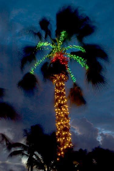 Floridas Christmas Palm Trees With Images Florida Christmas