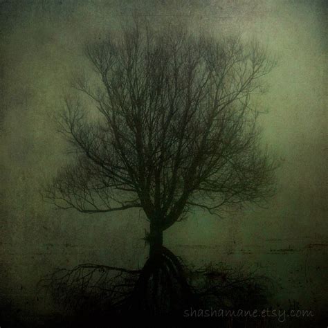 Dark Tree Fine Art Photography Print Dark Photography Dark Tree