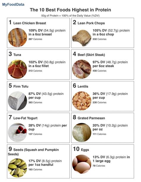 High Protein Food List Printable