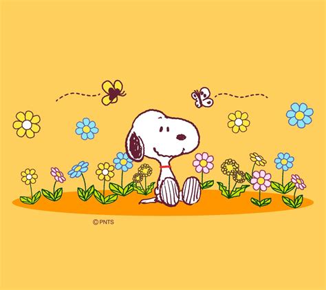 Pin By Yoshi Nin Nin On Snoopy Snoopy Wallpaper Snoopy Pictures