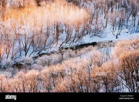 River In Hokkaido Japan Stock Photo Alamy
