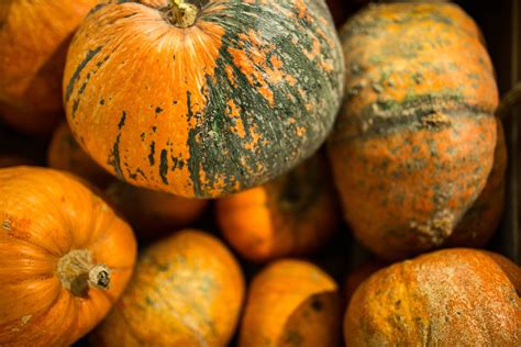 food and drink thanksgiving freshness ups 4k autumn ripe orange squash vegetable