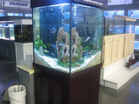Aquariums Melbourne Visit Our Awesome Display Room Call 1300