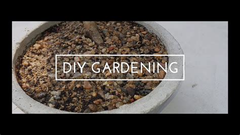 Bonsai boy of new york is an established nursery supplying premium bonsai trees at discounted prices. bonsai soil making | how to make bonsai soil | bonsai soil ...