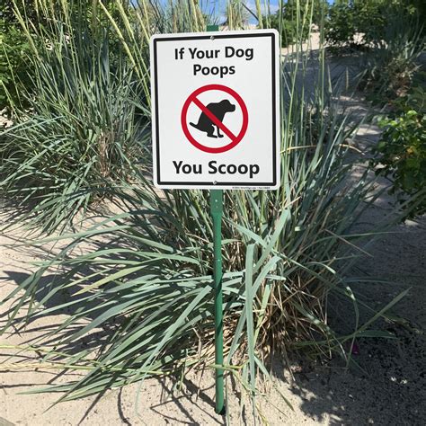 Dog Poop Sign If Your Dog Poops You Scoop Sign