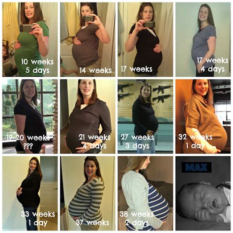 Triplets Belly Progression Division Of Global Affairs The Best