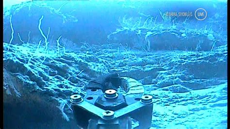 The deep oceans and global seafloor are truly earth's last frontier. Sky travels 300m under sea for Deep Ocean Live | Climate ...