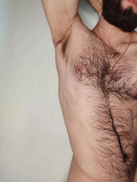 Did You Like My Chest Hair Nudes By Bearded Hunky