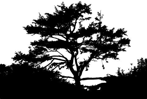 Landscape clipart nature, Landscape nature Transparent FREE for
