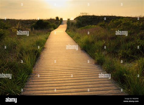 Wooden Walkway To Beach Stock Photo Alamy