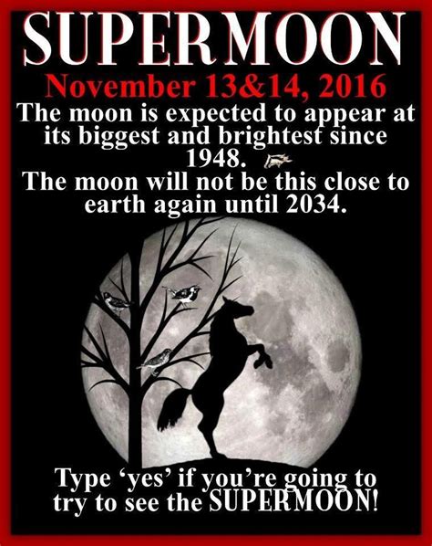 the monday night sky will be graced with the supermoon the biggest and brightest moon since