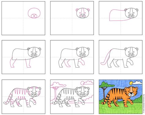 How To Sketch A Tiger Step By Step At Drawing Tutorials