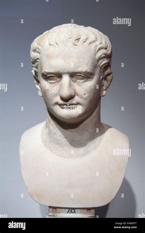 Emperor Domitian Roman Marble Bust From 81 96 Ad Altes Museum Berlin
