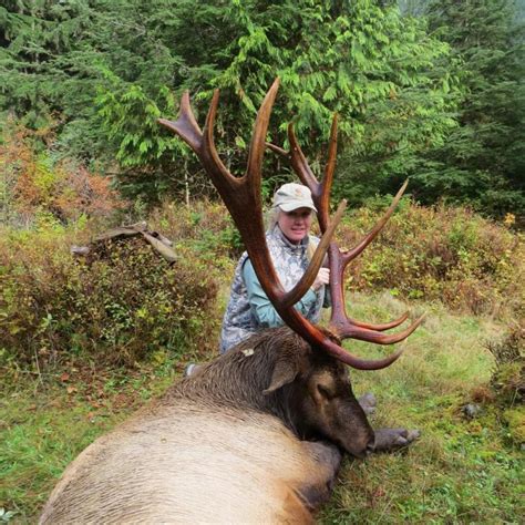 Roosevelt Elk Hunting North Vancouver Island Hunting Guides