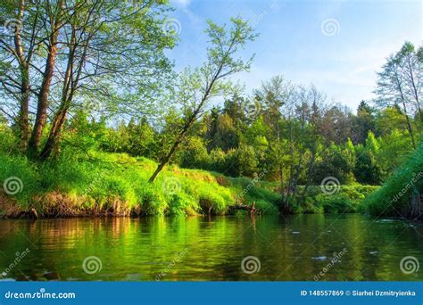 Spring River Green Nature Landscape On Riverbank Stock Image Image