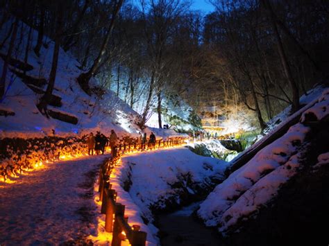 真冬のライトアップ Ⅵ by abu.K （ID：10171412） - 写真共有サイト:PHOTOHITO