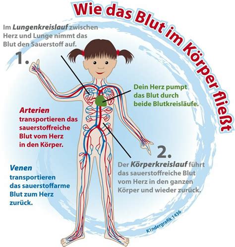 Ihr erstes instrument war das klavier. 10 besten Grundschule Bilder auf Pinterest | Grundschulen, Vorschule und Kita