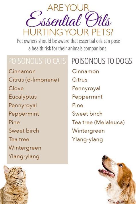 You'll need to be much more cautious than you would if you didn't have cats, but if you do your research and dilute your oils properly, many can be. Welcome to My World - Essential Oils Harmful to Dogs ...