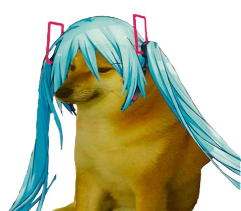 Meme Faces Funny Faces Vocaloid Cute Puppies Cute Dogs Funny Doge
