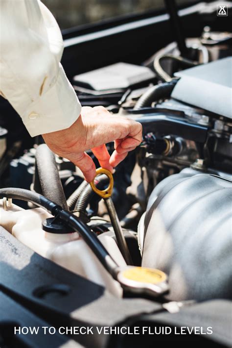 How To Check Vehicle Fluid Levels Rv Preventative Maintenance Koa
