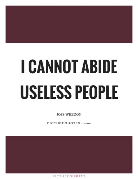 Get a random quote which can be about life, success, love, friendship or some other topic. I cannot abide useless people | Picture Quotes