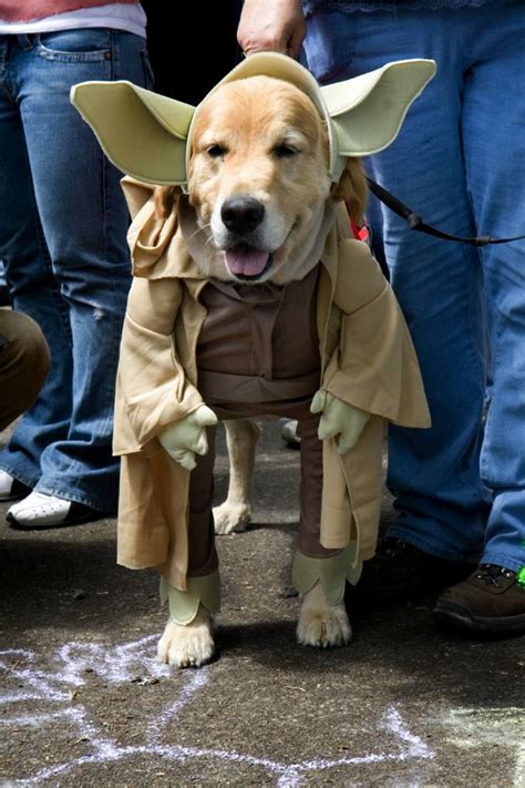 Alien Pet Costume Contest Yoda Dog Costume Pet Costumes Dog Costumes