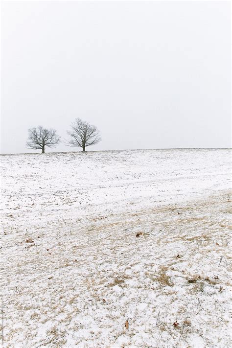 Rural Winter Scene In Massachusetts By Stocksy Contributor Raymond