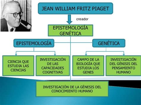 Teoria Genetica De Jean Piaget