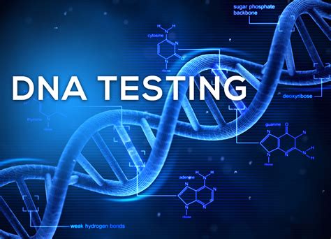 The Pros and Cons of DNA Testing in Court Cases | Law blog online