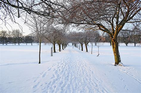 Winter Seasons Season Wikipedia