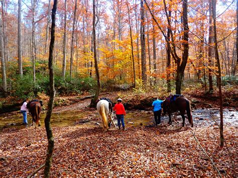 Mammoth Cave National Parks First Creek Trail In Kentucky Equitrekking