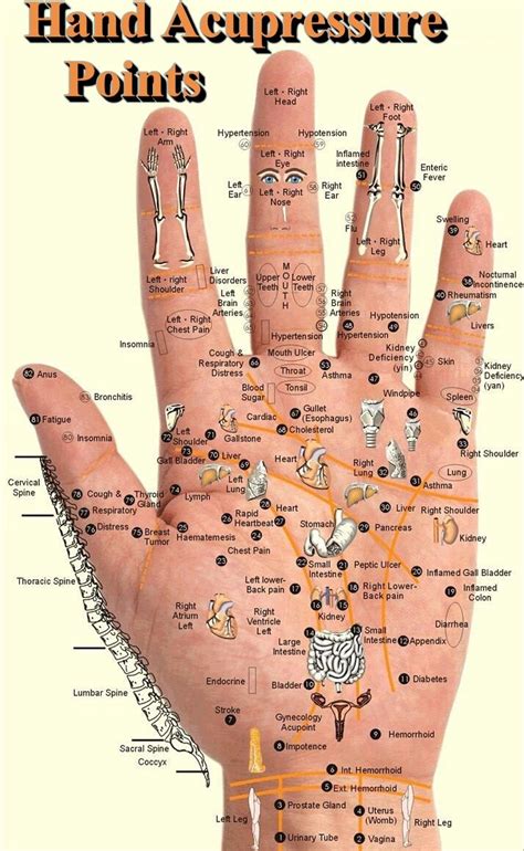 Hand Acupressure Points Pictures Photos And Images For Facebook