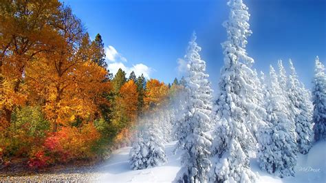 Fall To Winter Hd Desktop Wallpaper Widescreen High Definition