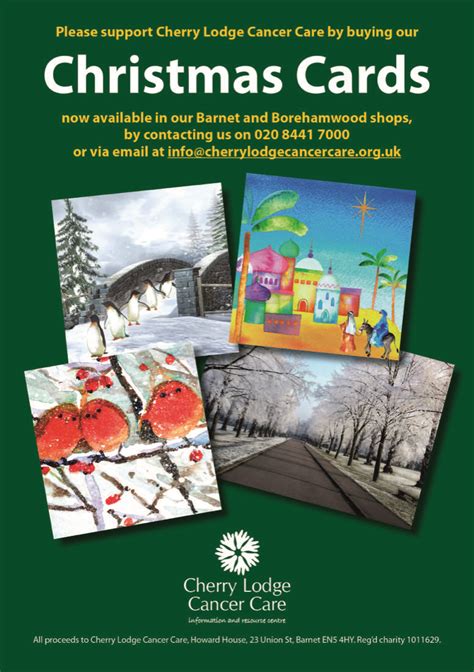 Lang Holiday Spirit Boxed Christmas Cards | Lang Christmas ...