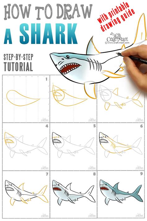 How To Draw A Shark In 9 Easy Steps Craft Mart