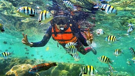 Yogyakarta Nglambor Beach Snorkelling Join Tour