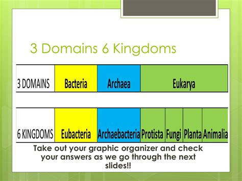 Ppt Domains And Kingdoms Powerpoint Presentation Free Download Id